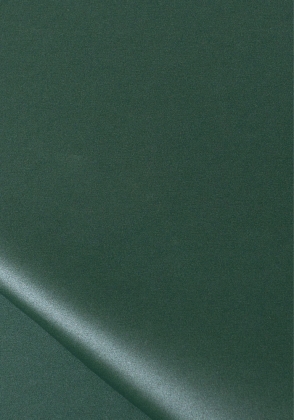Papier Ozdobny O.Papiernia Perła - zielony